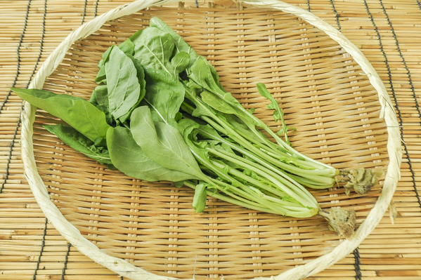 ルッコラ 八面六臂