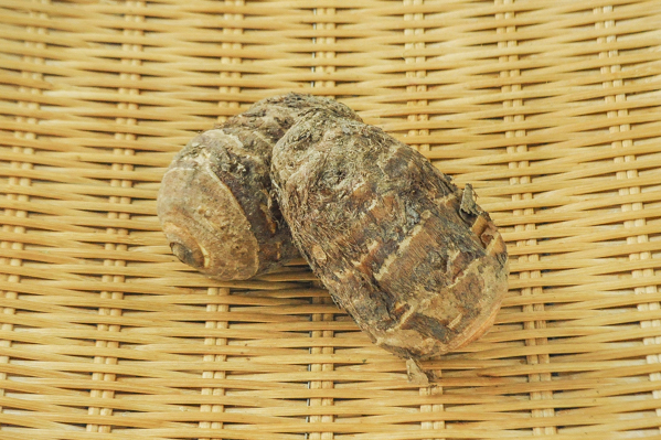 海老芋 八面六臂