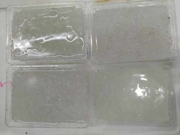 のれそれ 愛媛 八面六臂