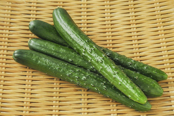 きゅうり Am 八面六臂