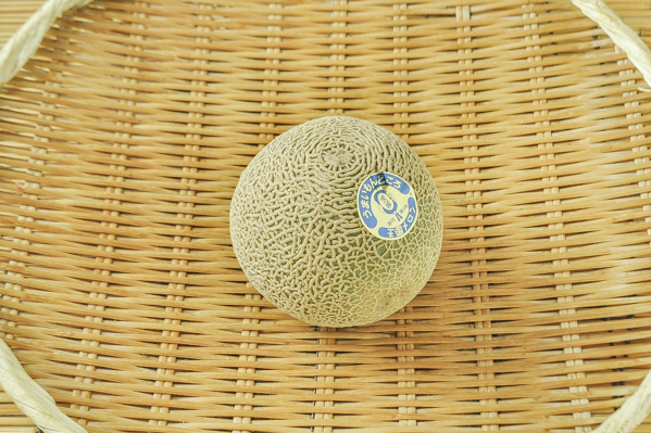 タカミメロン 丸南メロン 八面六臂