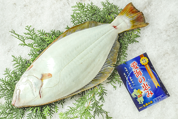 活〆天然ヒラメ いわき 八面六臂
