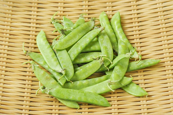 絹さや 八面六臂