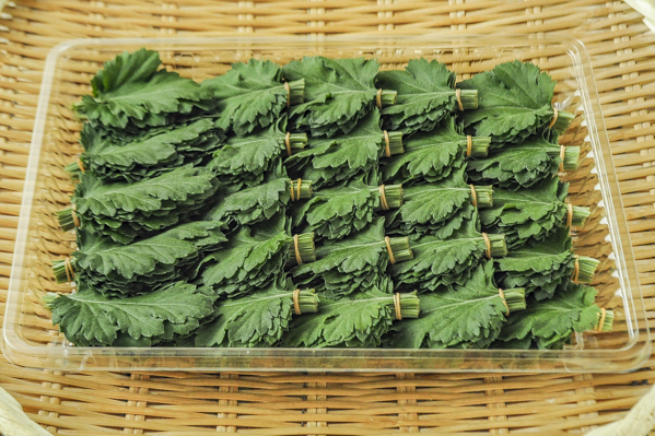 つるむらさきの花 八面六臂