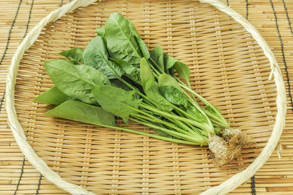 サラダほうれん草 八面六臂