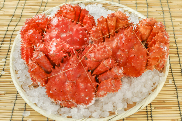 ハナサキガニ 八面六臂