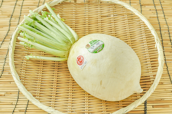 聖護院大根 八面六臂