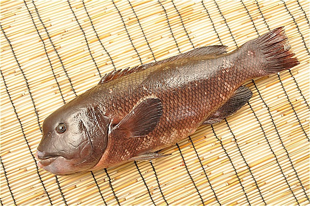 カンダイ コブダイ ゴチ網 八面六臂
