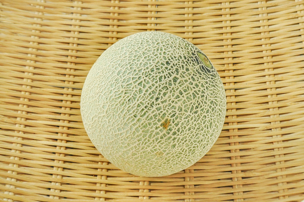 アンデスメロン L 6玉サイズ 八面六臂