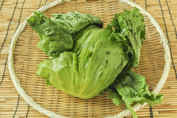 レタス 八面六臂