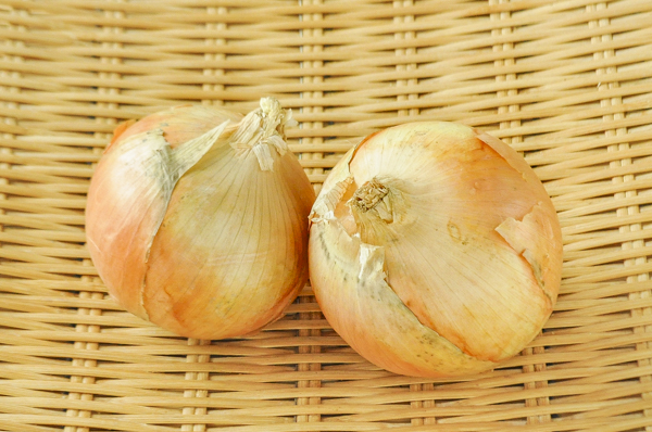 タマネギ 八面六臂