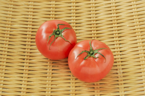 トマト 食材図鑑