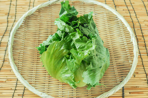 どこか産レタス レタス【業務用食材の仕入れなら八面六臂】