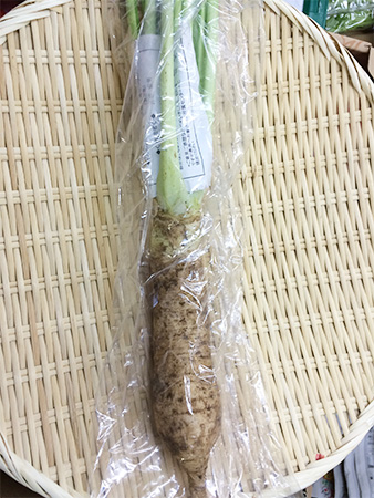 品川かぶ