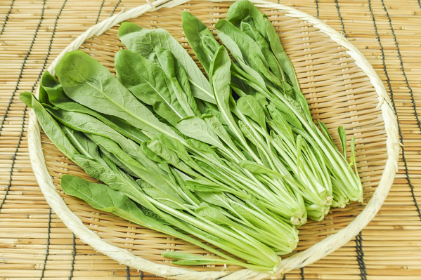 みぶ菜