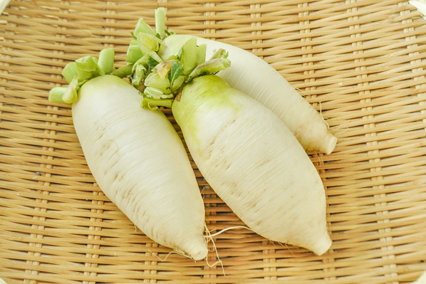 上州辛味大根