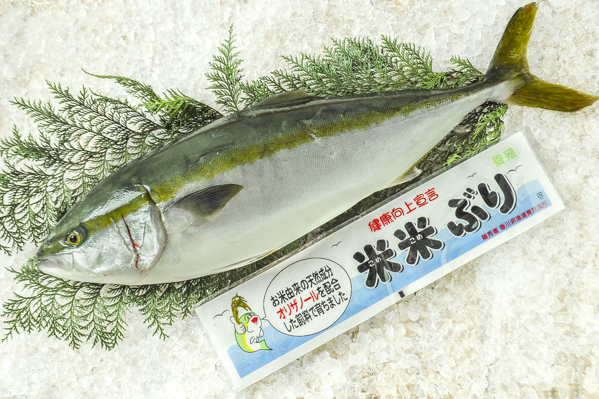 米米ぶり 八面六臂