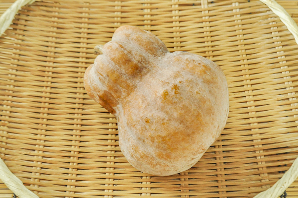 鹿ヶ谷かぼちゃ