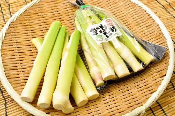 まこもたけ