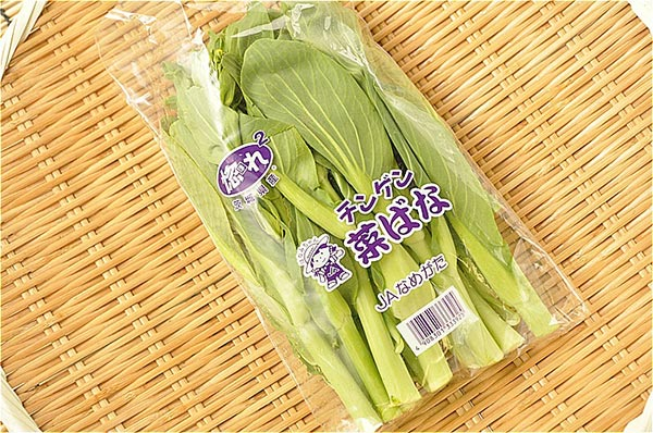 ちんげん菜花 八面六臂