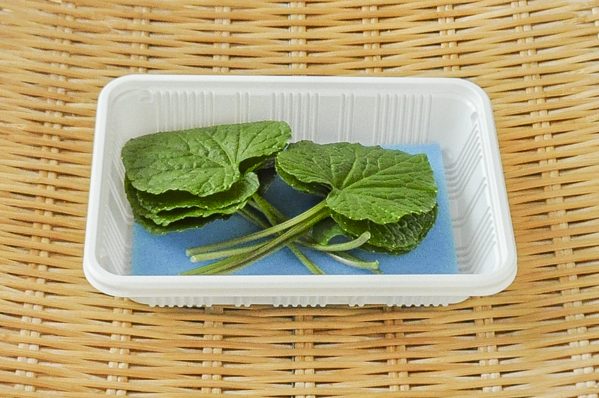 徳島マイクロ葉わさび