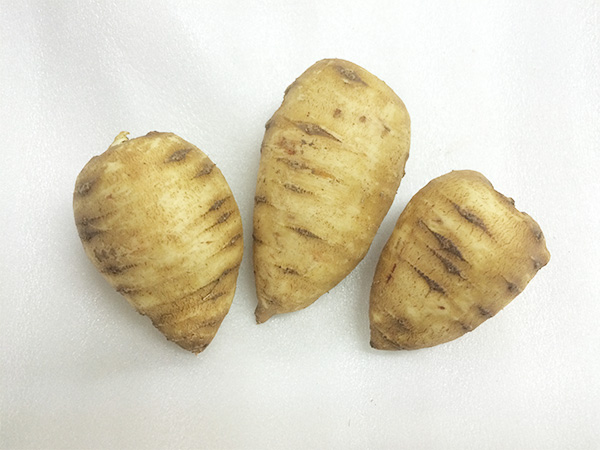 チャービルルート