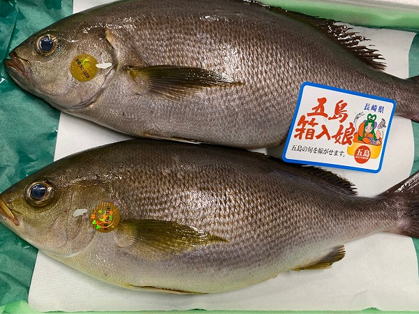 箱入娘