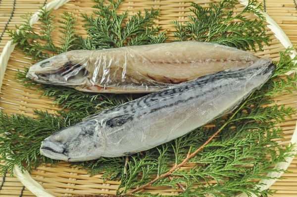 サバ文化干し