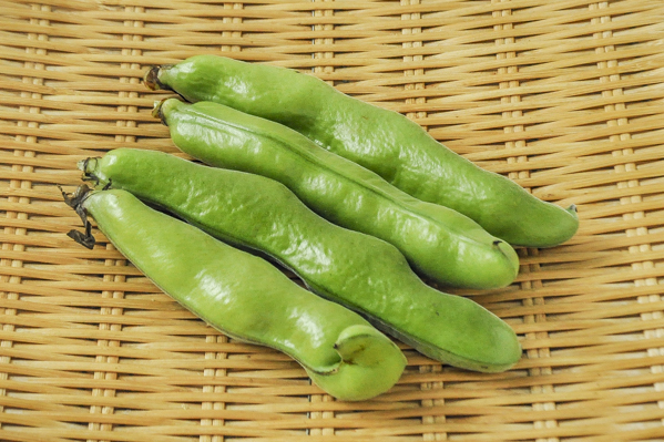 そら豆