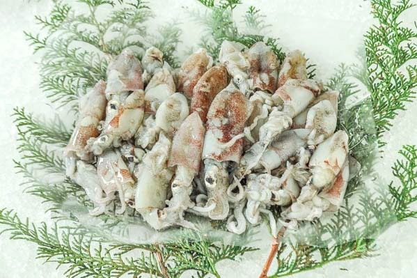 ヒイカ 八面六臂