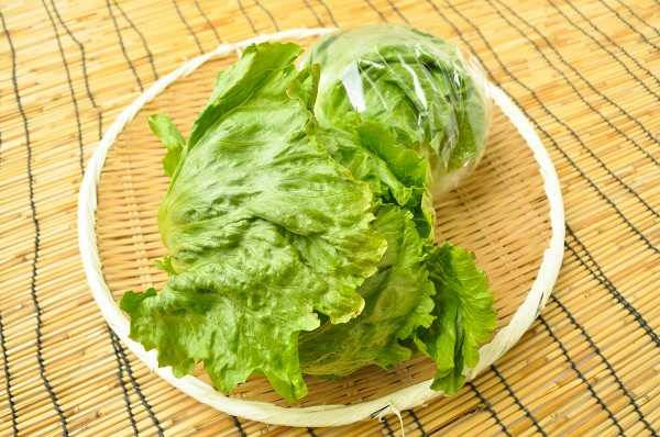 迫田さんのレタス