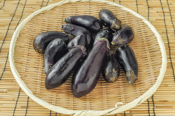 サラダ茄子