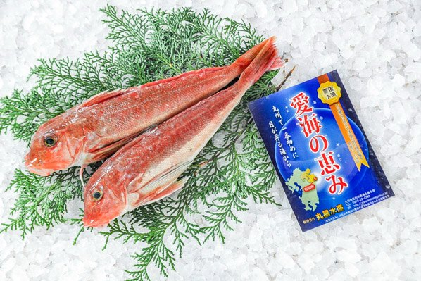 カナガシラ