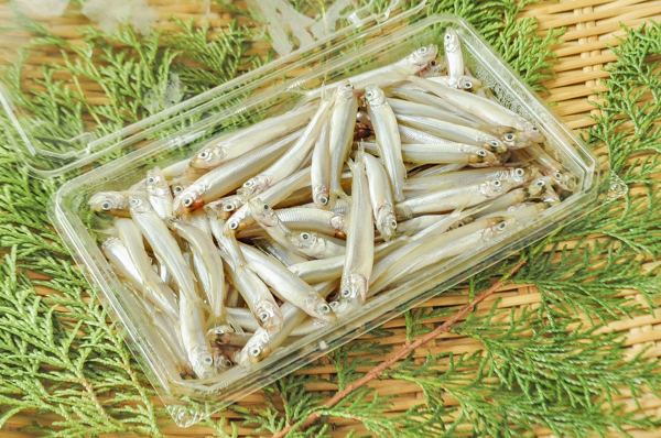 子持ちワカサギ