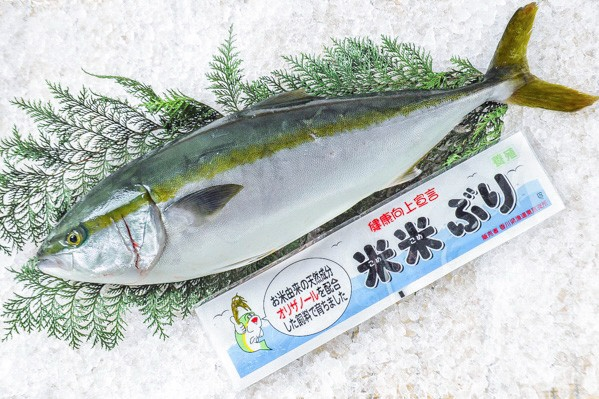 米米ぶり（こめこめぶり）