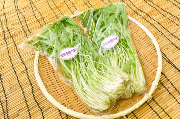 京水菜