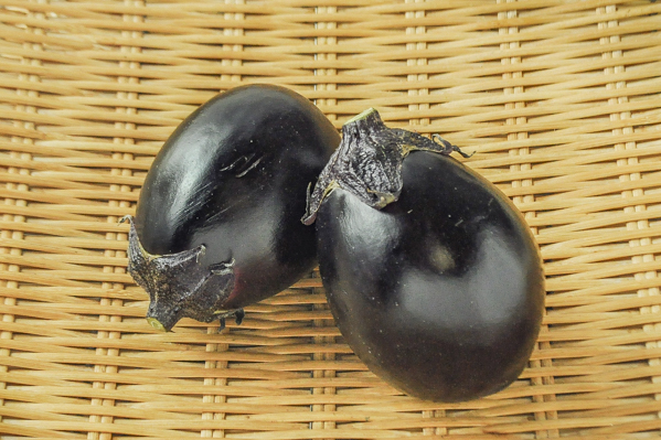 折戸なす