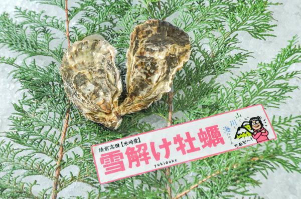 雪解け牡蠣