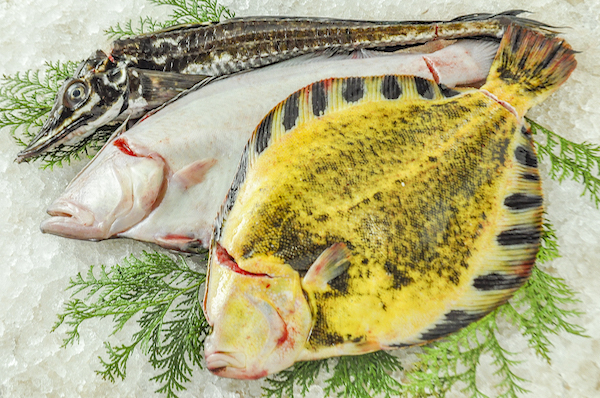活〆神経抜き鮮魚