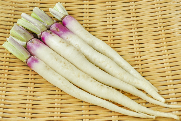 日野菜かぶ