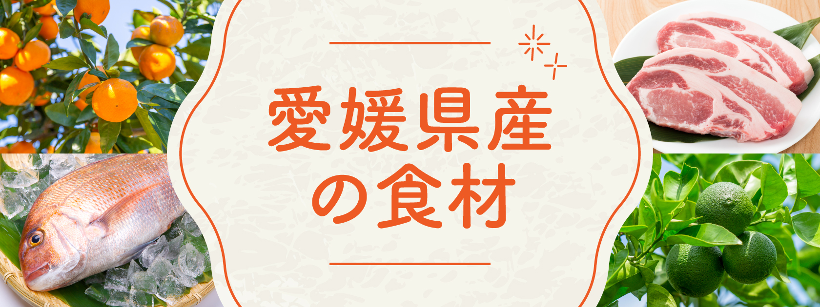 愛媛県産の食材