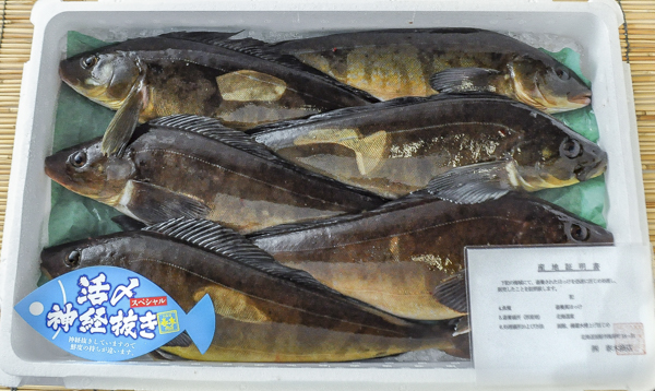 活〆神経抜きホッケ 蓄養 八面六臂