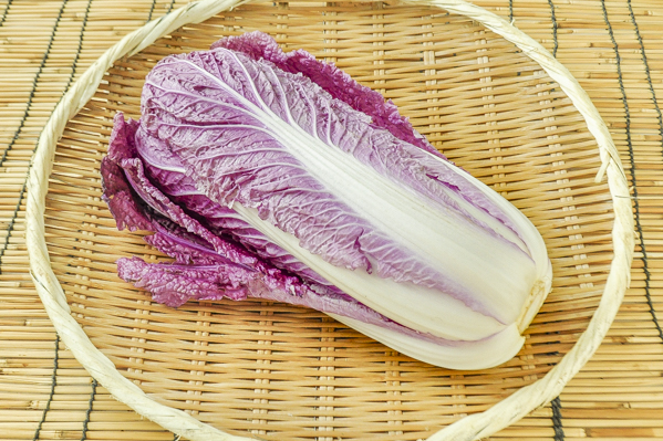 紫白菜