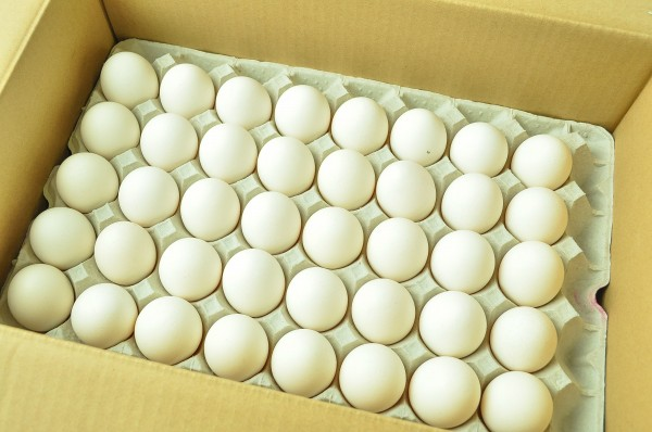 業務用バラ詰め鶏卵【箱売り】
