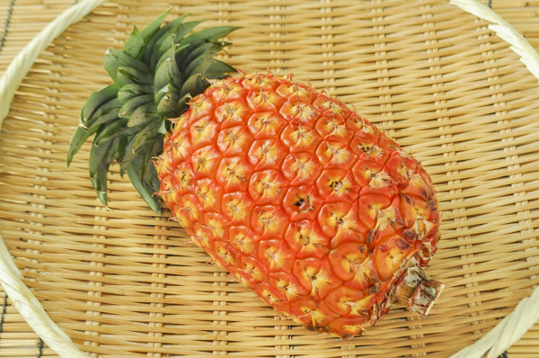 ゴールドバレル【業務用食材の仕入れなら八面六臂】