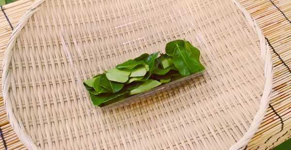 フレッシュライムリーフ こぶみかんの葉 八面六臂