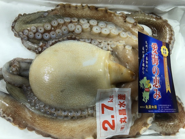 活〆マダコ 八面六臂 活〆マダコ 八面六臂