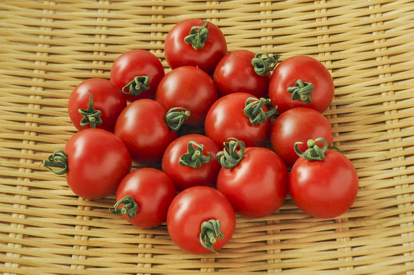 金井さんの中玉トマト
