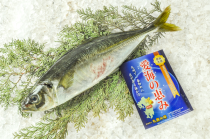 ホウキハタ 八面六臂 ホウキハタ 八面六臂