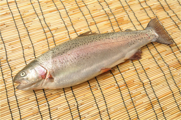 活〆渓流サーモン ニジマス 半身 八面六臂 活〆渓流サーモン ニジマス 半身 八面六臂